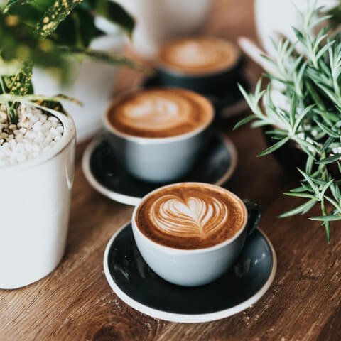 HOME PEXIM cafe template gallery img 2